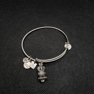 Alex And Ani Woman's Owl Charm Silver Bracelet